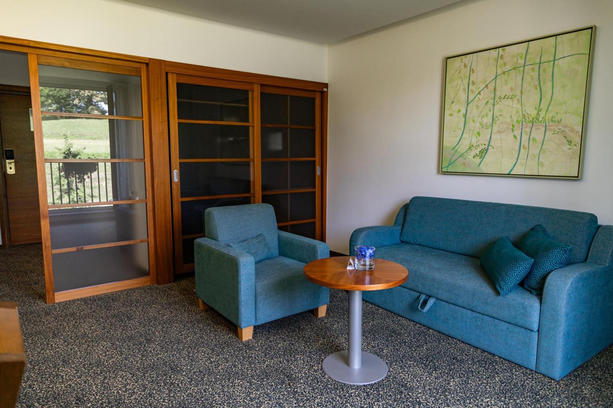Hotel Vitarium Superior - Terme Krka シュマリェシュケ・トプリツェ 部屋 写真